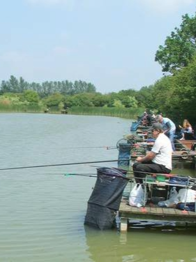 Match Fishing